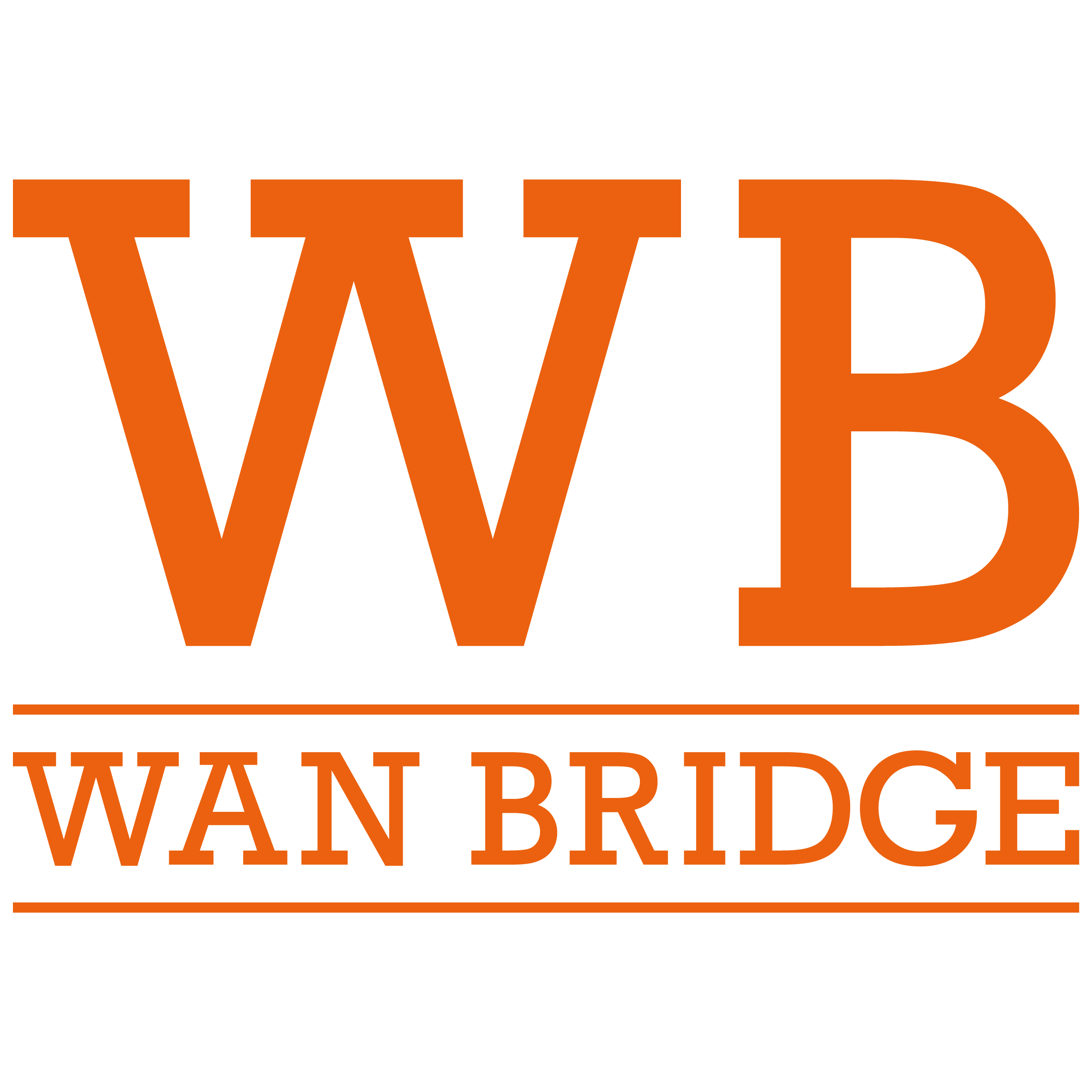 Wan Bridge Group, LLC